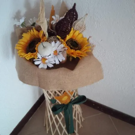 Maison Sylvie Appartamento *