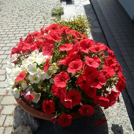 Maison Sylvie Pila (Valle d'Aosta)