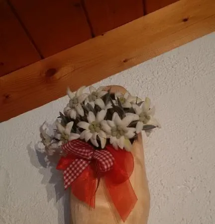 Appartement Maison Sylvie Pila (Valle d'Aosta)
